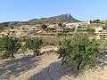 Lovely 3 Bedroom 2 Bathroom Villa in Fortuna. in Spanish Fincas