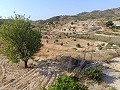 Lovely 3 Bedroom 2 Bathroom Villa in Fortuna. in Spanish Fincas