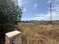 Prachtige villa met 4 slaapkamers en 1 badkamer in Villena. in Spanish Fincas