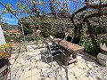 Pretty Country Home in Spanish Fincas
