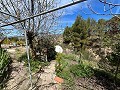 Pretty Country Home in Spanish Fincas