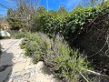 Pretty Country Home in Spanish Fincas