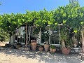 Pretty Country Home in Spanish Fincas