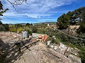 Pretty Country Home in Spanish Fincas