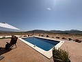 Superbes villas neuves à Pinoso, Alicante in Spanish Fincas