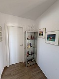 Superbes villas neuves à Pinoso, Alicante in Spanish Fincas