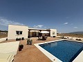 Superbes villas neuves à Pinoso, Alicante in Spanish Fincas