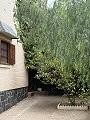 Belle villa de 4 chambres et 2 salles de bain dans l'un des quartiers les plus prestigieux d'Elda in Spanish Fincas