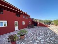 Prachtige villa met 5 slaapkamers en 4 badkamers in Encebras(Pinoso) met prachtig uitzicht! in Spanish Fincas