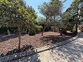 Exklusive Villa mit 4 Schlafzimmern und 3 Bädern in Loma Bada Petrer. in Spanish Fincas