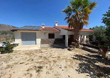 Villa mit 3 Schlafzimmern und 2 Bädern sowie Gästehaus mit 3 Schlafzimmern und 1 Bad in Salinas.