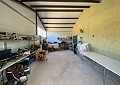 Villa mit 3 Schlafzimmern und 2 Bädern sowie Gästehaus mit 3 Schlafzimmern und 1 Bad in Salinas. in Spanish Fincas