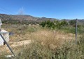 Villa mit 3 Schlafzimmern und 2 Bädern sowie Gästehaus mit 3 Schlafzimmern und 1 Bad in Salinas. in Spanish Fincas