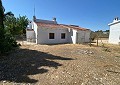 Villa mit 3 Schlafzimmern und 2 Bädern sowie Gästehaus mit 3 Schlafzimmern und 1 Bad in Salinas. in Spanish Fincas
