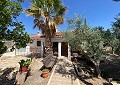 Villa mit 3 Schlafzimmern und 2 Bädern sowie Gästehaus mit 3 Schlafzimmern und 1 Bad in Salinas. in Spanish Fincas