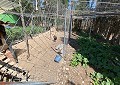 Villa mit 3 Schlafzimmern und 2 Bädern sowie Gästehaus mit 3 Schlafzimmern und 1 Bad in Salinas. in Spanish Fincas
