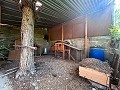 Großes Landhaus mit Pool und Nebengebäude in Sax in Spanish Fincas