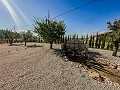 Impresionantes villas de nueva construcción in Spanish Fincas