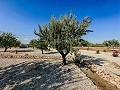 Impresionantes villas de nueva construcción in Spanish Fincas