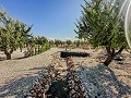 Impresionantes villas de nueva construcción in Spanish Fincas