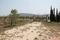 Preciosa y auténtica finca española de 4 dormitorios y 2 baños con casa de invitados en Pinoso. in Spanish Fincas