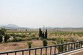 Preciosa y auténtica finca española de 4 dormitorios y 2 baños con casa de invitados en Pinoso. in Spanish Fincas