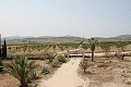Preciosa y auténtica finca española de 4 dormitorios y 2 baños con casa de invitados en Pinoso. in Spanish Fincas