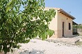 Preciosa y auténtica finca española de 4 dormitorios y 2 baños con casa de invitados en Pinoso. in Spanish Fincas