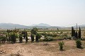 Preciosa y auténtica finca española de 4 dormitorios y 2 baños con casa de invitados en Pinoso. in Spanish Fincas