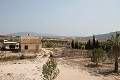 Preciosa y auténtica finca española de 4 dormitorios y 2 baños con casa de invitados en Pinoso. in Spanish Fincas