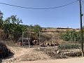 Maison de ville avec 3 chambres, patio, garage et jardin in Spanish Fincas