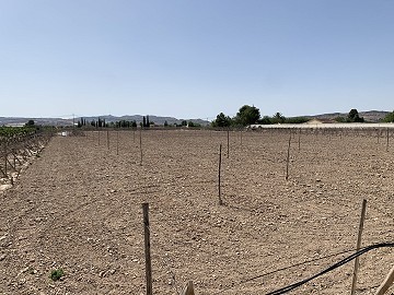 Building plot between Novelda and Monforte Del Cid