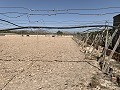 Building plot between Novelda and Monforte Del Cid in Spanish Fincas