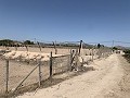 Building plot between Novelda and Monforte Del Cid in Spanish Fincas
