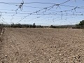 Building plot between Novelda and Monforte Del Cid in Spanish Fincas