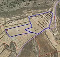 Beautiful New Build Villa including plot, with pool in Jumilla. in Spanish Fincas