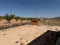 Lovely 3 Bed 2 Bath Villa in Pinoso. in Spanish Fincas