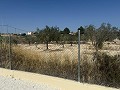 Prachtig gerenoveerde villa met 3 slaapkamers, 2 badkamers en zwembad in Fortuna. in Spanish Fincas