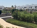 Precioso apartamento de 2 dormitorios y 2 baños, en Vistabella golf Los Montesinos. in Spanish Fincas
