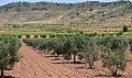 Charmante maison de campagne de 13 chambres et 3 salles de bains à Encebras. in Spanish Fincas