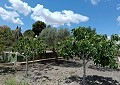 Fabulous 4 Bed Villa with Self-Contained Guest House in Sax. in Spanish Fincas