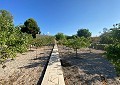 Fabulous 4 Bed Villa with Self-Contained Guest House in Sax. in Spanish Fincas