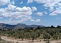 Fabulous 4 Bed Villa with Self-Contained Guest House in Sax. in Spanish Fincas