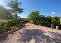 Fabulous 4 Bed Villa with Self-Contained Guest House in Sax. in Spanish Fincas