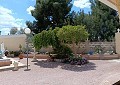 Fabulous 4 Bed Villa with Self-Contained Guest House in Sax. in Spanish Fincas
