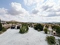 Lovely 5 bedroom 4 Bath Villa in Pinoso. in Spanish Fincas