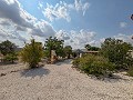 Lovely 5 bedroom 4 Bath Villa in Pinoso. in Spanish Fincas