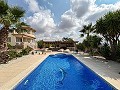 Lovely 5 bedroom 4 Bath Villa in Pinoso. in Spanish Fincas