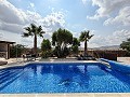 Lovely 5 bedroom 4 Bath Villa in Pinoso. in Spanish Fincas