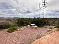 Spiritual retreat in Sax with endless possibilities in Spanish Fincas